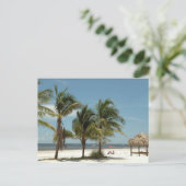 Lone Beach in Fort Myers Beach Florida Briefkaart (Staand voorkant)