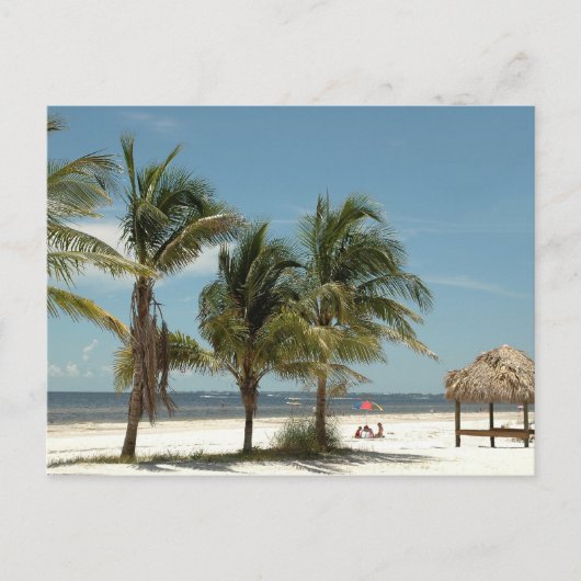 Lone Beach in Fort Myers Beach Florida Briefkaart (Voorkant)