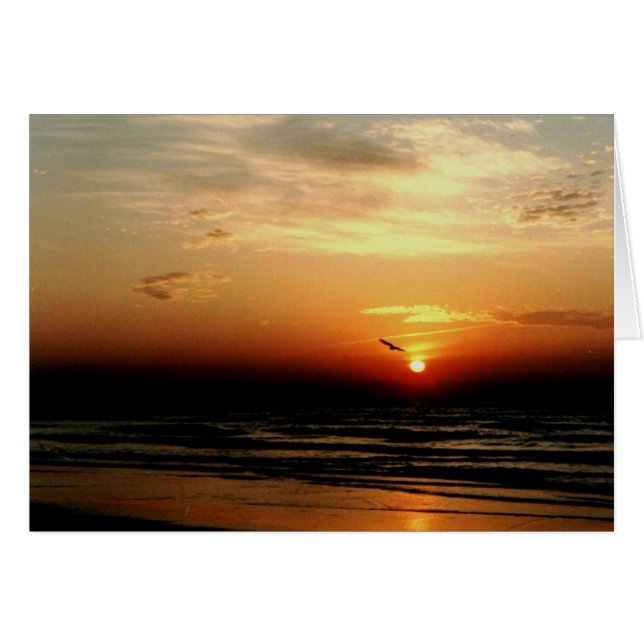 Lone Bird (Voorkant Horizontaal)