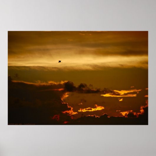 Lone Bird in a Firey Sky (Poster) Poster (Voorkant)
