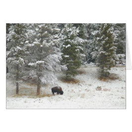 Lone Buffalo in geelsteen