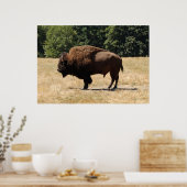 Lone Buffalo Poster (Keuken)