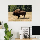 Lone Buffalo Poster (Thuiskantoor)