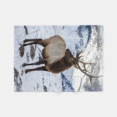 Lone Bull Elk in Snow | Nationaal Park Yellowstone Fleece Deken (Voorkant (Horizontaal))
