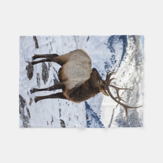 Lone Bull Elk in Snow | Nationaal Park Yellowstone Fleece Deken (Voorkant (Horizontaal))