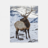 Lone Bull Elk in Snow | Nationaal Park Yellowstone Fleece Deken (Voorkant)