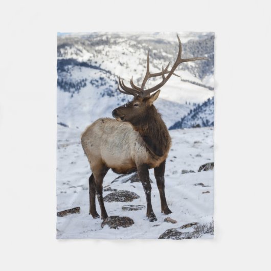 Lone Bull Elk in Snow | Nationaal Park Yellowstone Fleece Deken (Voorkant)