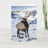 Lone Bull Elk in Snow | Nationaal Park Yellowstone Kaart (Voorkant)