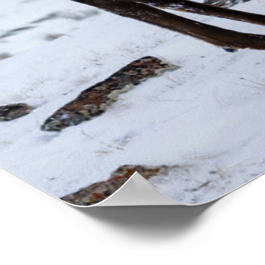 Lone Bull Elk in Snow | Nationaal Park Yellowstone Poster (Hoek)