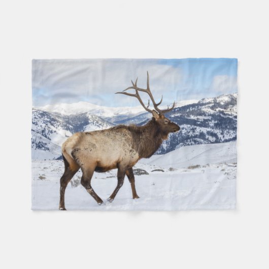 Lone Bull Elk | Nationaal Park Yellowstone Fleece Deken (Voorkant (Horizontaal))