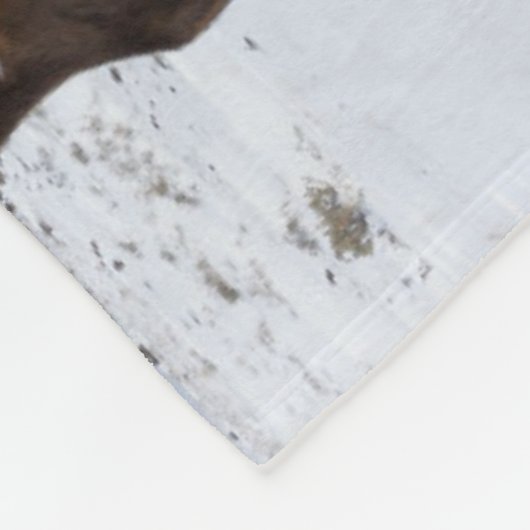 Lone Bull Elk | Nationaal Park Yellowstone Fleece Deken (Hoek)