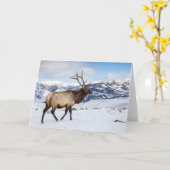 Lone Bull Elk | Nationaal Park Yellowstone Kaart (Gele Bloem)