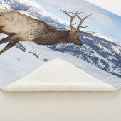 Lone Bull Elk | Nationaal Park Yellowstone Sherpa Deken (3/4)