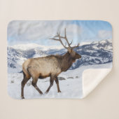 Lone Bull Elk | Nationaal Park Yellowstone Sherpa Deken (Voorkant (horizontaal))