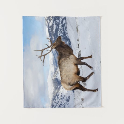 Lone Bull Elk | Yellowstone National Park Wandkleed (Voorkant)