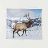 Lone Bull Elk | Yellowstone National Park Wandkleed (Voorkant (horizontaal))