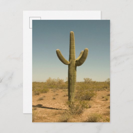 Lone Cactus Briefkaart (Voorkant / Achterkant)