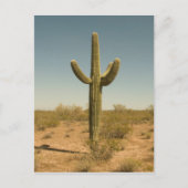 Lone Cactus Briefkaart (Voorkant)