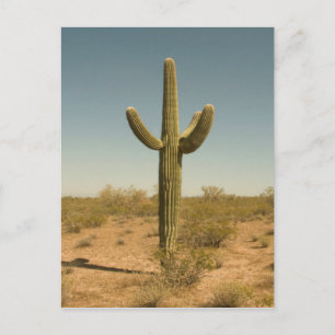Lone Cactus Briefkaart