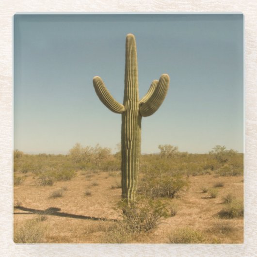 Lone Cactus Glazen Onderzetter (Voorkant)