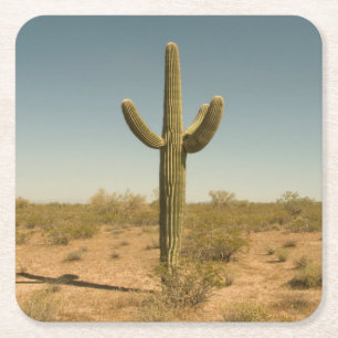 Lone Cactus Kartonnen Onderzetters