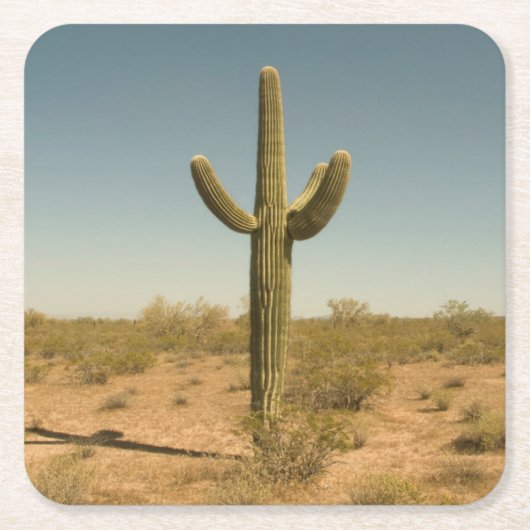 Lone Cactus Kartonnen Onderzetters (Voorkant)