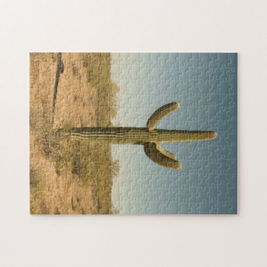 Lone Cactus Legpuzzel (Horizontaal)