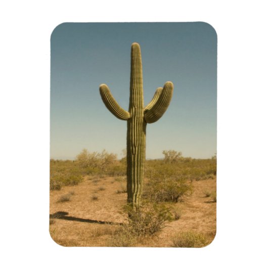 Lone Cactus Magneet (Verticaal)