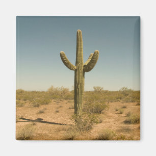Lone Cactus Magneet