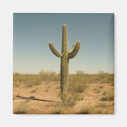 Lone Cactus Magneet (Voorkant)