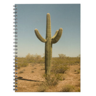Lone Cactus Notitieboek
