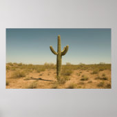 Lone Cactus Poster (Voorkant)