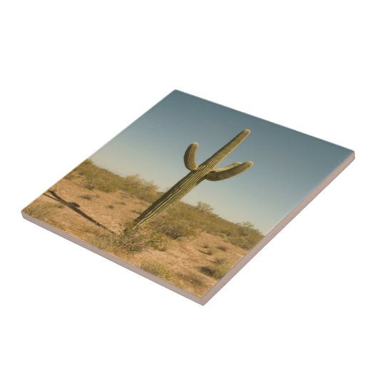 Lone Cactus Tegeltje (Zijkant)