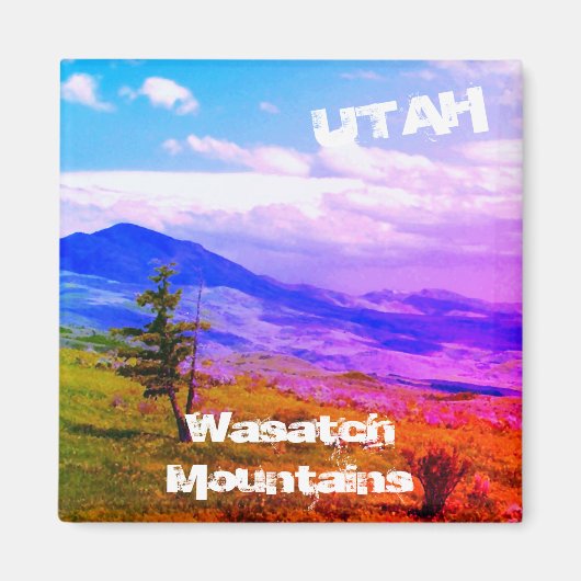 "Lone Cedar" Wasatch Mountains, Utah Landscape Magneet (Voorkant)