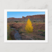 "Lone Cottonwood" Briefkaart (Voorkant)