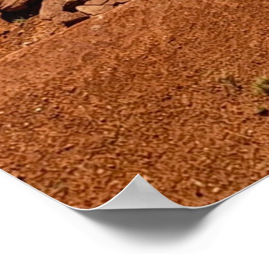 Lone Cowboy Poster (Hoek)