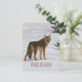 Lone Coyote in Snow Briefkaart (Staand voorkant)