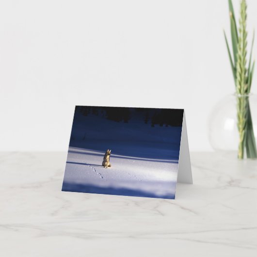 Lone Coyote in Snow, Yellowstone National Park Feestdagen Kaart (Voorkant)