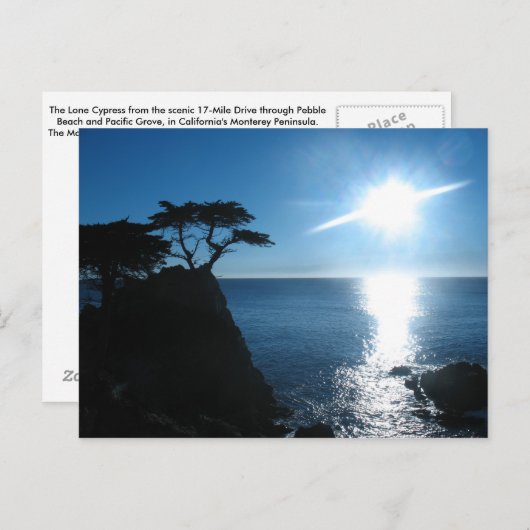 Lone Cypress Briefkaart (Voorkant / Achterkant)