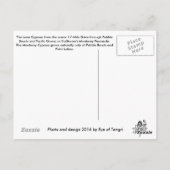 Lone Cypress Briefkaart (Achterkant)