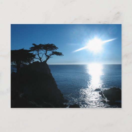 Lone Cypress Briefkaart (Voorkant)