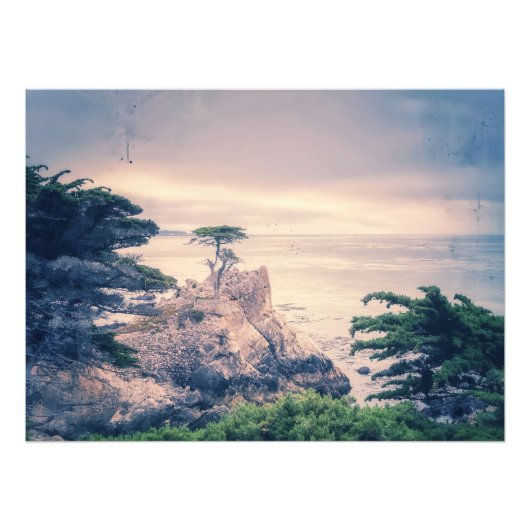 Lone Cypress Foto Afdruk (Voorkant)