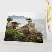 LONE CYPRESS Jumbo Wenskaart Kaart (Gele Bloem)