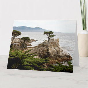 LONE CYPRESS Jumbo Wenskaart Kaart