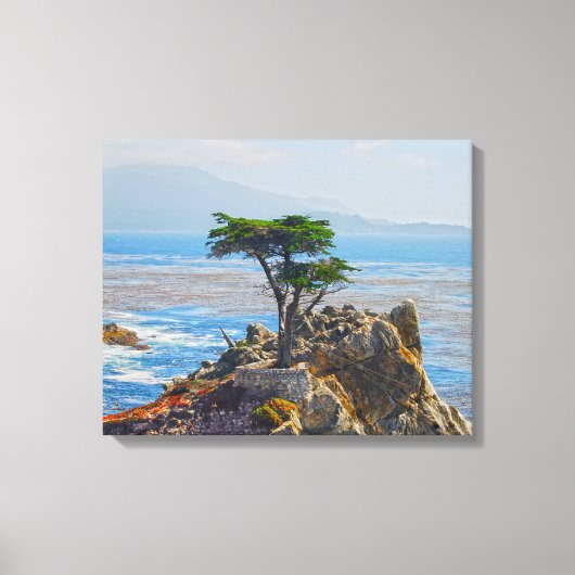 Lone Cypress, Monterey, California Canvas Print (Voorkant)