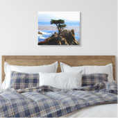 Lone Cypress, Monterey, Californië Canvas Afdruk (Insitu (Slaapkamer))