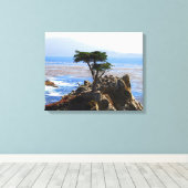 Lone Cypress, Monterey, Californië Canvas Afdruk (Insitu (Houten vloer))
