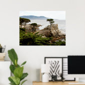 LONE CYPRESS Print, Value Poster Paper (Matte) (Thuiskantoor)