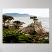 LONE CYPRESS Print, Value Poster Paper (Matte) (Voorkant)