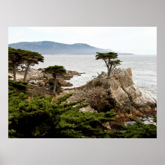 LONE CYPRESS Print, Value Poster Paper (Matte) (Voorkant)